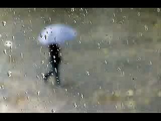 Tumi to diyechile amay crisnochura ful