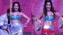 Mehwish Hayat Vulgar Performance In ARY Award Show