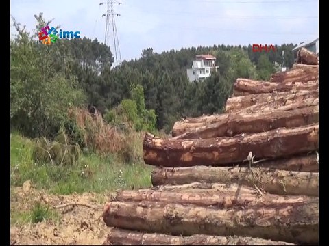 Fatih Ormanı yapılaşma ve taş ocakları tehdidi altında