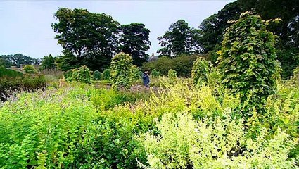 Grow.Your.Own.Drugs-S01E04