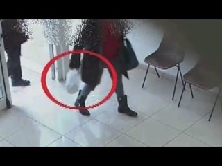 Foggia - Dipendenti comunali assenteisti, i filmati dei carabinieri (09.05.16)