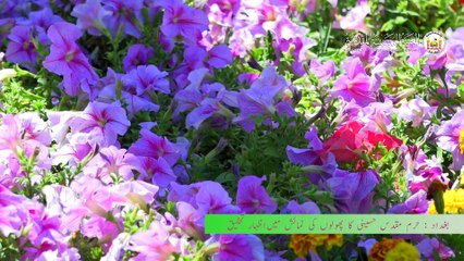 حرم مقدس حسینی کی جانب سے بغداد میں تخلیقی جوہر کی نمائش