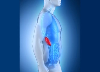 Kidney Infection (Pyelonephritis): Cause, Symptoms, Treatments