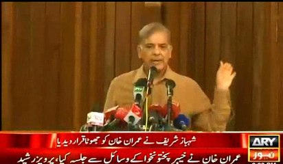 Imran Khan is a lier -Shahbaz Sharif