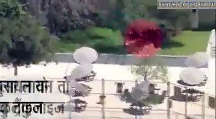 Mountain Lion on a High School Campus