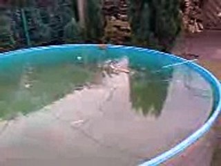 Böller vs. 20 cm Eis!!! Pyroknallpatrone "P"