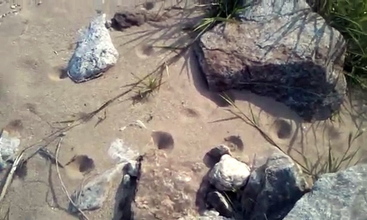 성남출장 안마출장만남↕ 010-2179-7343}내상NO♝성남출장마사지 모란출장~판교출장