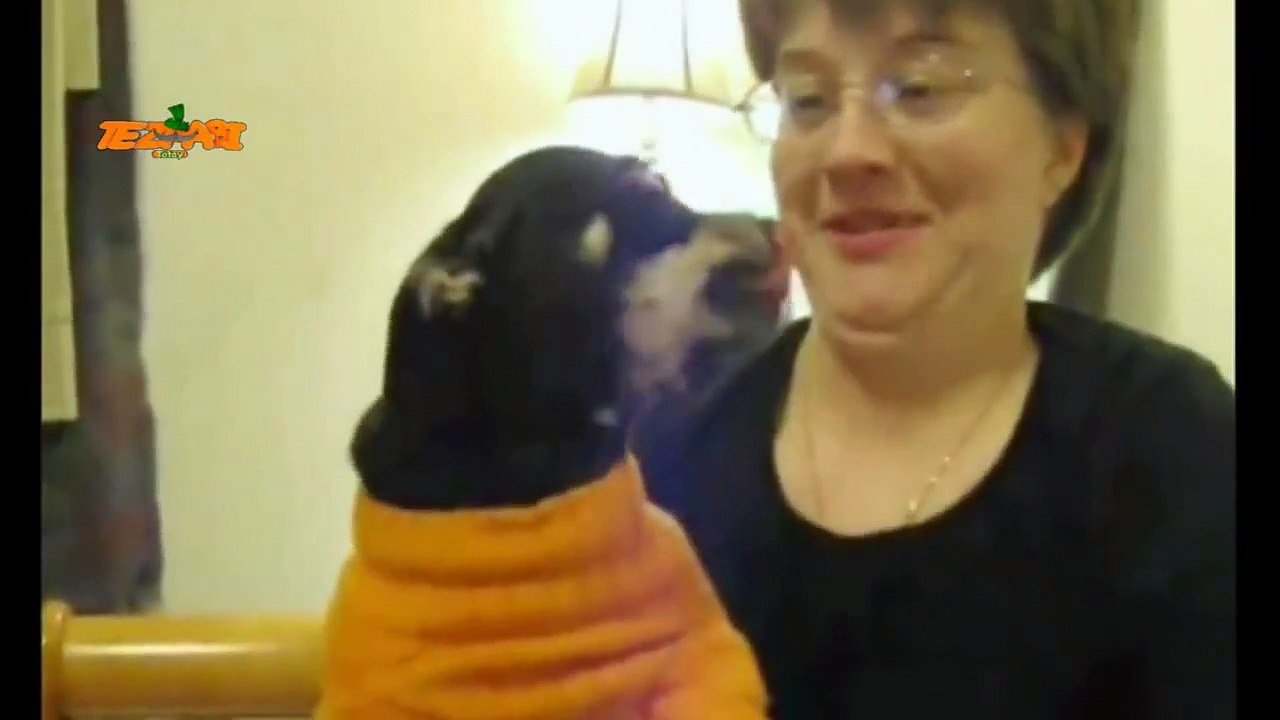 Funny Pranks 91 Punjabi Dubbing New Tezabi Totay