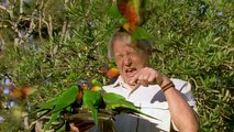 Attenborough 60 Years In The Wild Ep 1 HD