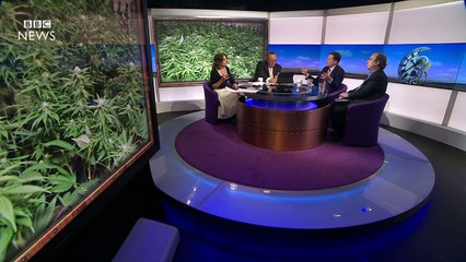 Clegg and Hitchens on UK drug enforcement - BBC News