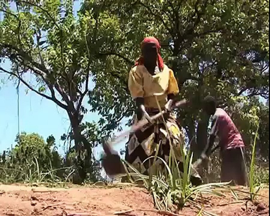 Breaking New Ground in Northern Uganda