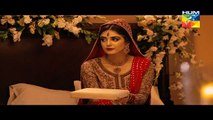 Mann Mayal - Episode 06 - 29 Feb 2016 - HUM TV - HAMZA ALI ABBASSI