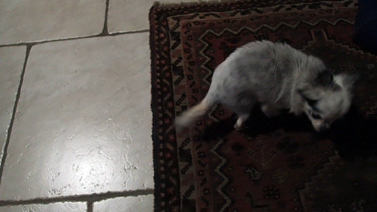 Rosita
