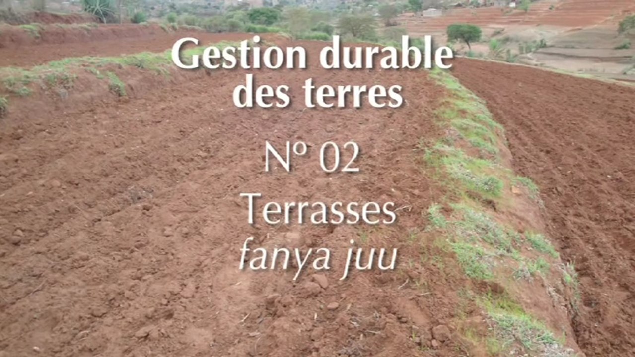 SLM 02 Terrasses fanya juu