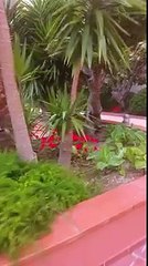 h10 Mediterranean village salou tour may 2016