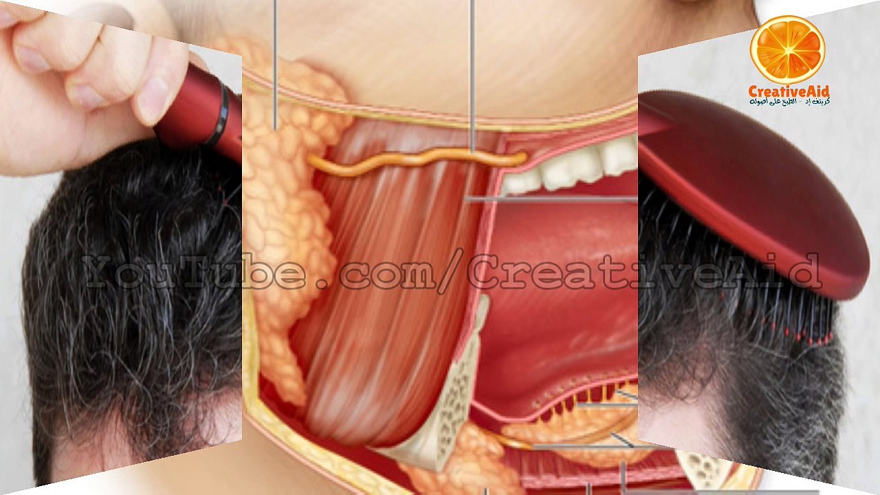 لن تتخيل ماذا يحدث في جسمك خلال عام واحد