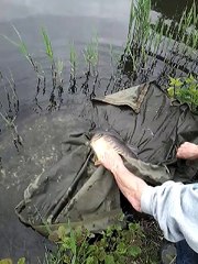 Remise à l'eau 2