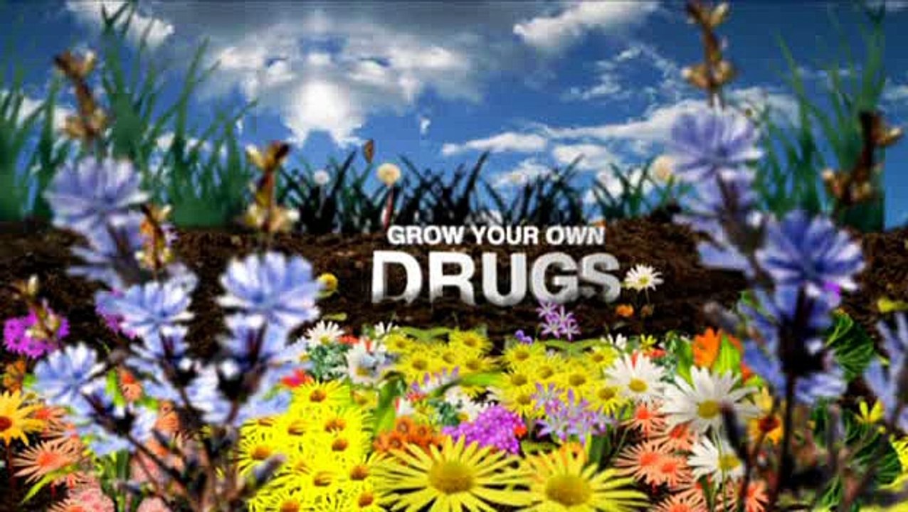 Grow.Your.Own.Drugs-S01E06