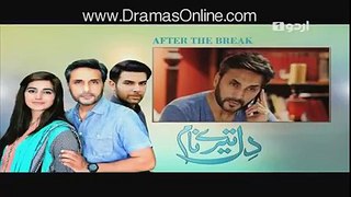 Dil Teray Naam Episode 20 Full in HD - 9th May 2016