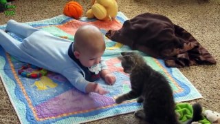 Cute Cats and Dogs Love Babies Compilation 2016