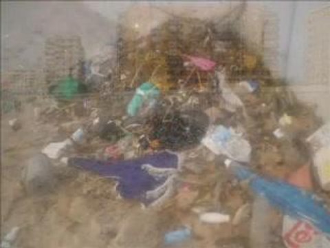 Poluição das Praias