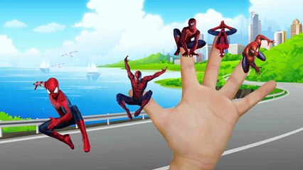 Finger Family Spiderman  Spider Man Finger Family Songs Kids Songs Nursery Rhymes
