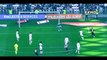 Hatem Ben Arfa 2016 • Transfer Bayern Munich Target 2016-2017 Goals, Skills, Assists HD