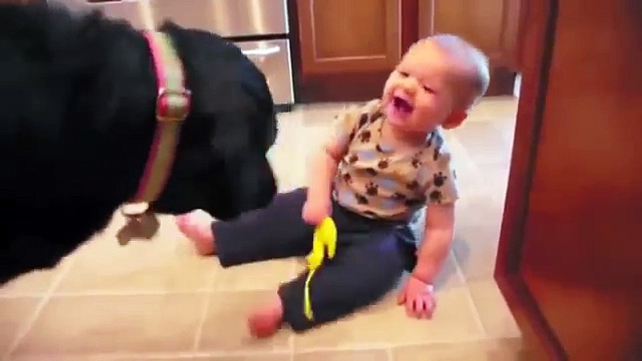 Bambini e Labrador, Dolcezza e Amore