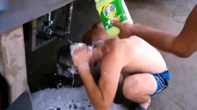 Компиляция прикольных видео