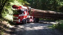 Aptitudinile sale sunt incredibile. Uite cum se strecoara cu un camion urias printr-un drum ingust de padure