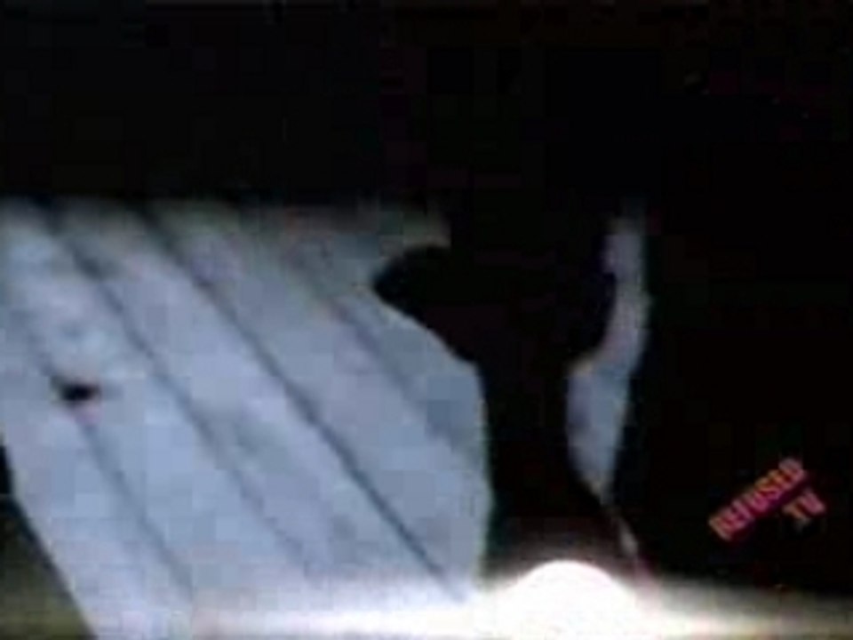 finch :letters to you