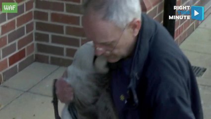 Rescuers Help Goose with Injured Leg