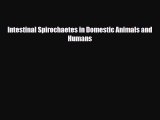 [PDF] Intestinal Spirochaetes in Domestic Animals and Humans Download Online