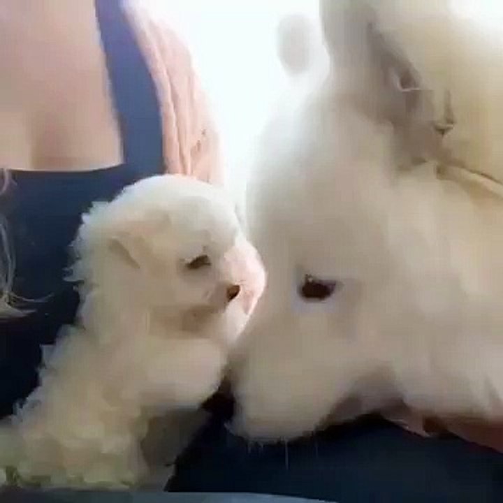 ஈ용인출장안마⊰ 010 v 2179 v 7343 ⊱섹시공략 〶출장안마, 용인출장마사지