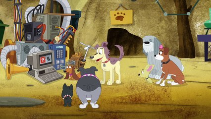 Pound Puppies 2010 Season 3 Episode 25 The Pupples Court (HD 720p)