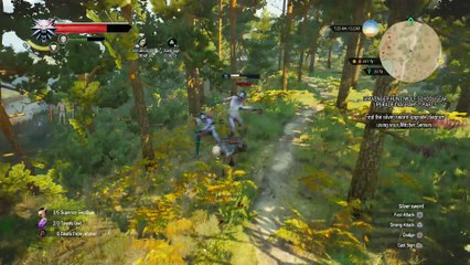 WITCHER 3 DEATH MARCH! WALKTHROUGH 254 - FIEND BOSS