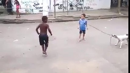 Çocuklarla İp Sallayan Sevimi Köpek