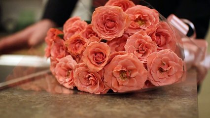 Friends with Benefits