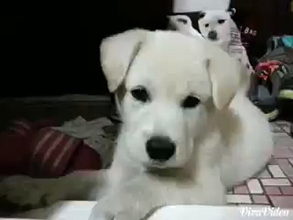 ¤당진출장안마(OlO -２１７９-７３４３￥20대출장아가씨 당진출장마사지