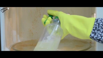 How to clean a microwave - Expert cleaning services Toronto
