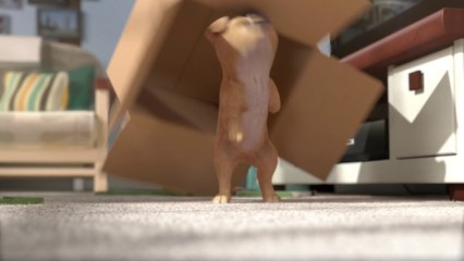 A regarder pour mieux voir !!!!