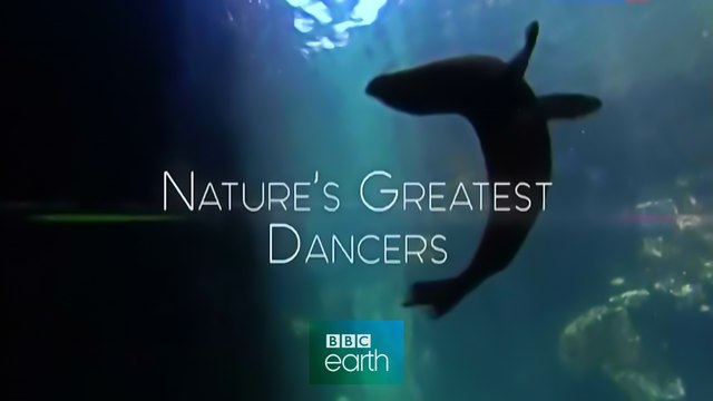 BBC Танцы дикой природы 1 серия. Танец жизни (2015)