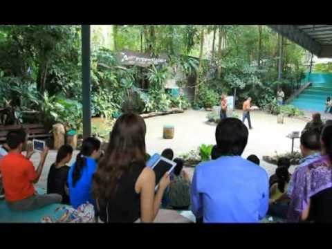 CP Will You Marry me? แต่งงานกันเถอะ OA 050856