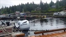 Une énorme baleine à bosse sort de l'eau à quelques mètres des bateaux