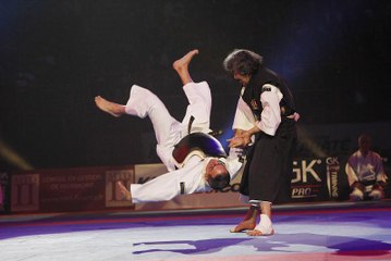 Demostración de Shorinji Kempo