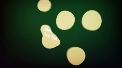 Marvelless Mark Kamp : Keynote Speaker In Indianapolis