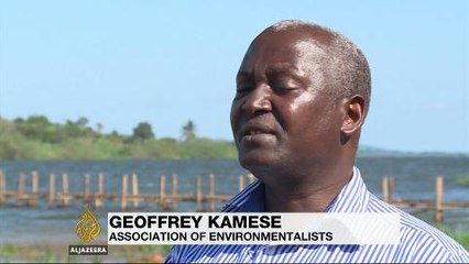 Reggae musician makes Uganda's floating island his home