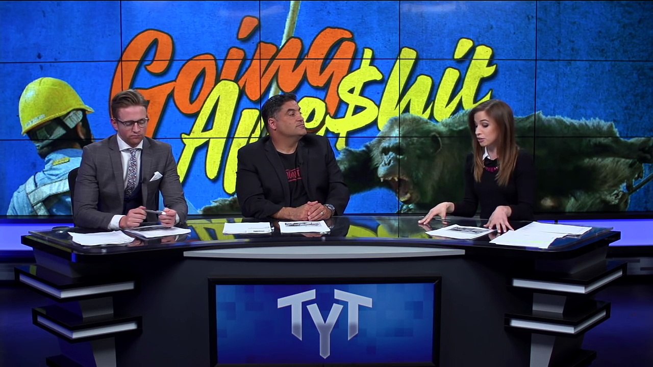 Escaped Chimps Daring, Failed Escape (VIDEO)