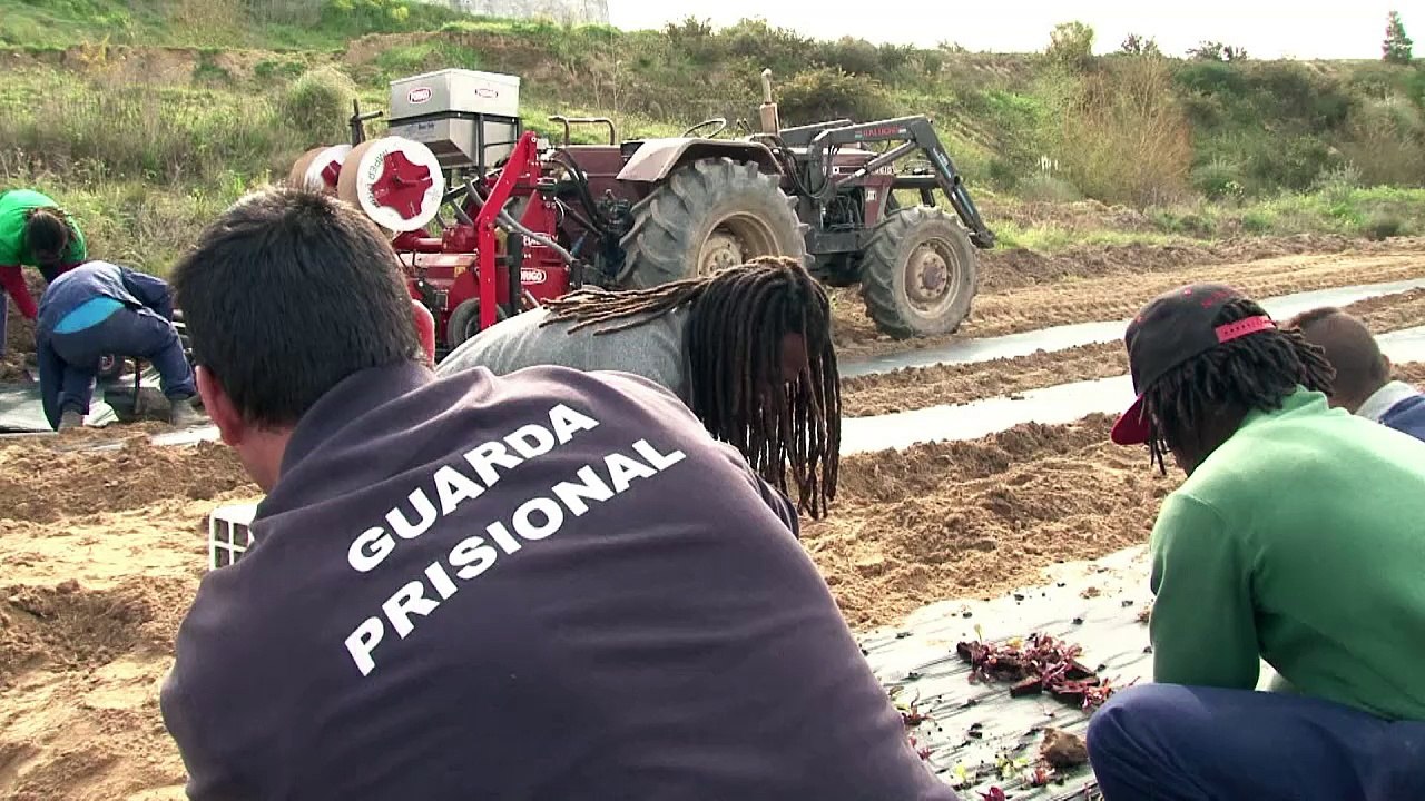 Portugal: Knackiges Gemüse für Bedürftige
