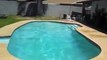 Girl try to jump into pool from roof but Fail